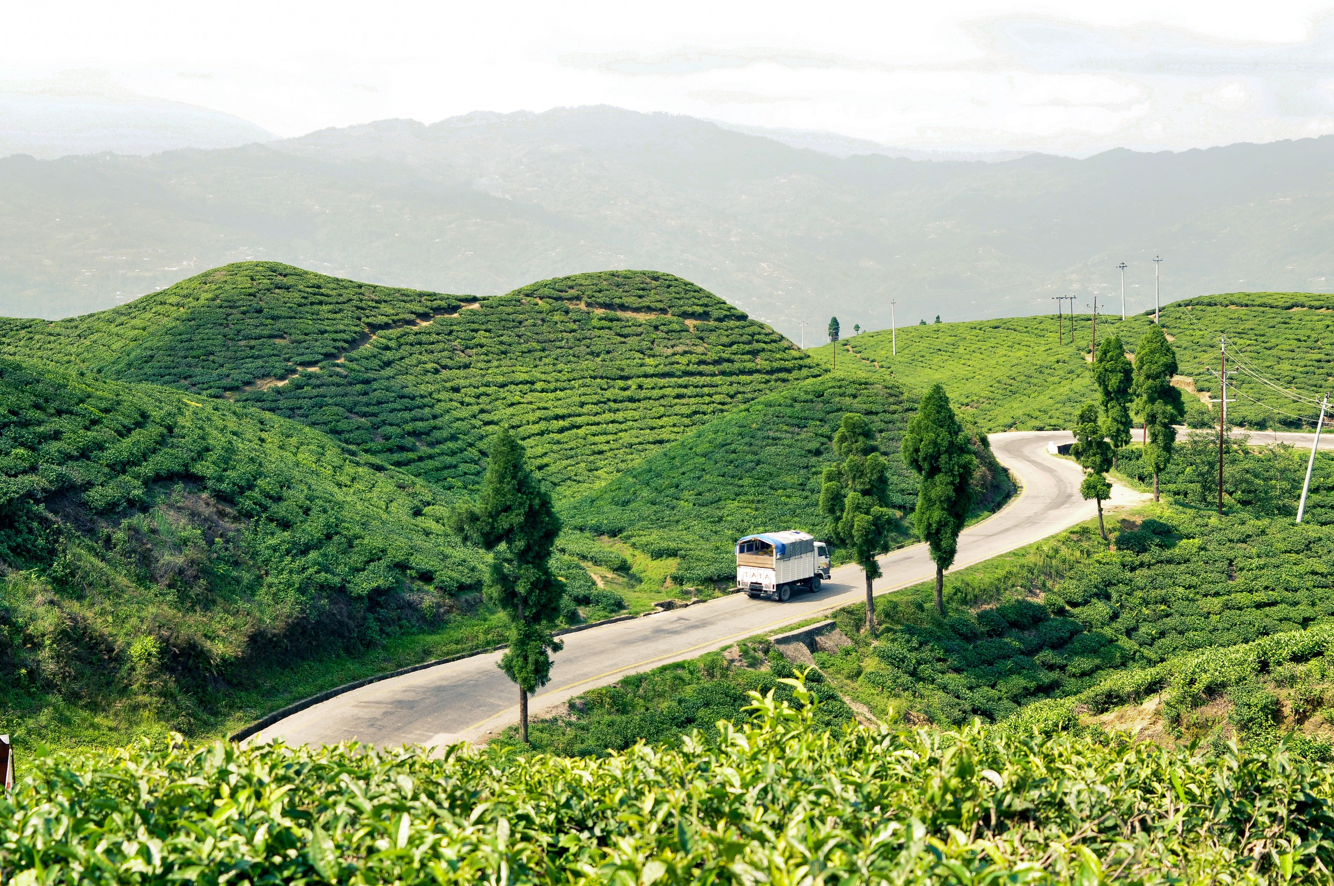 Cultural Tour of Kathmandu Valley